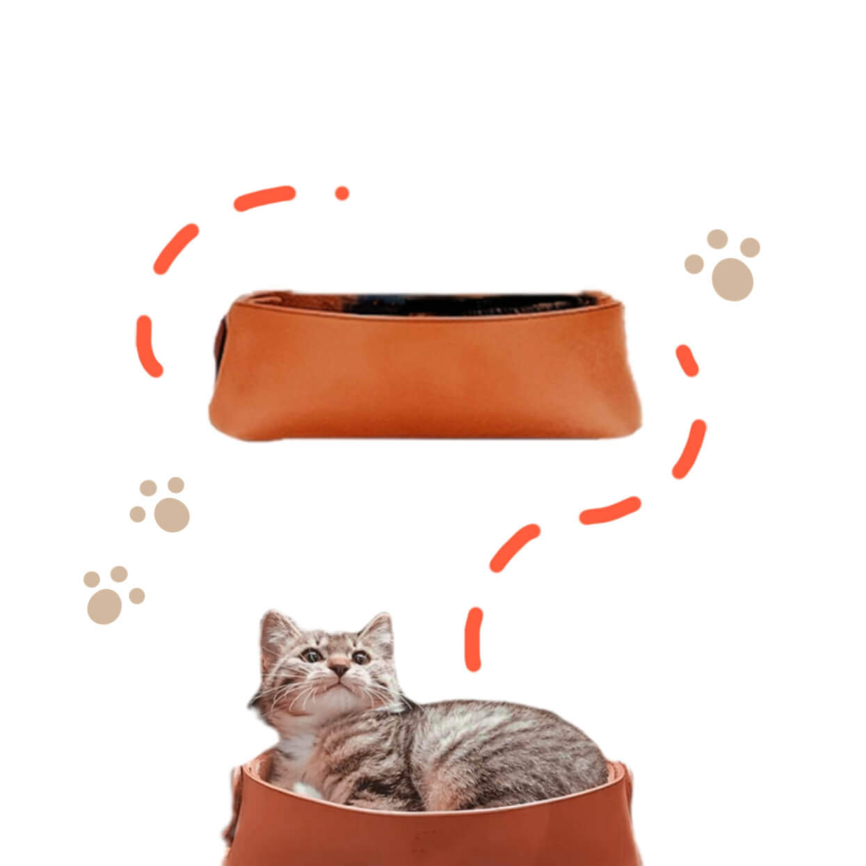 Leather-Kitten-Bed-Container